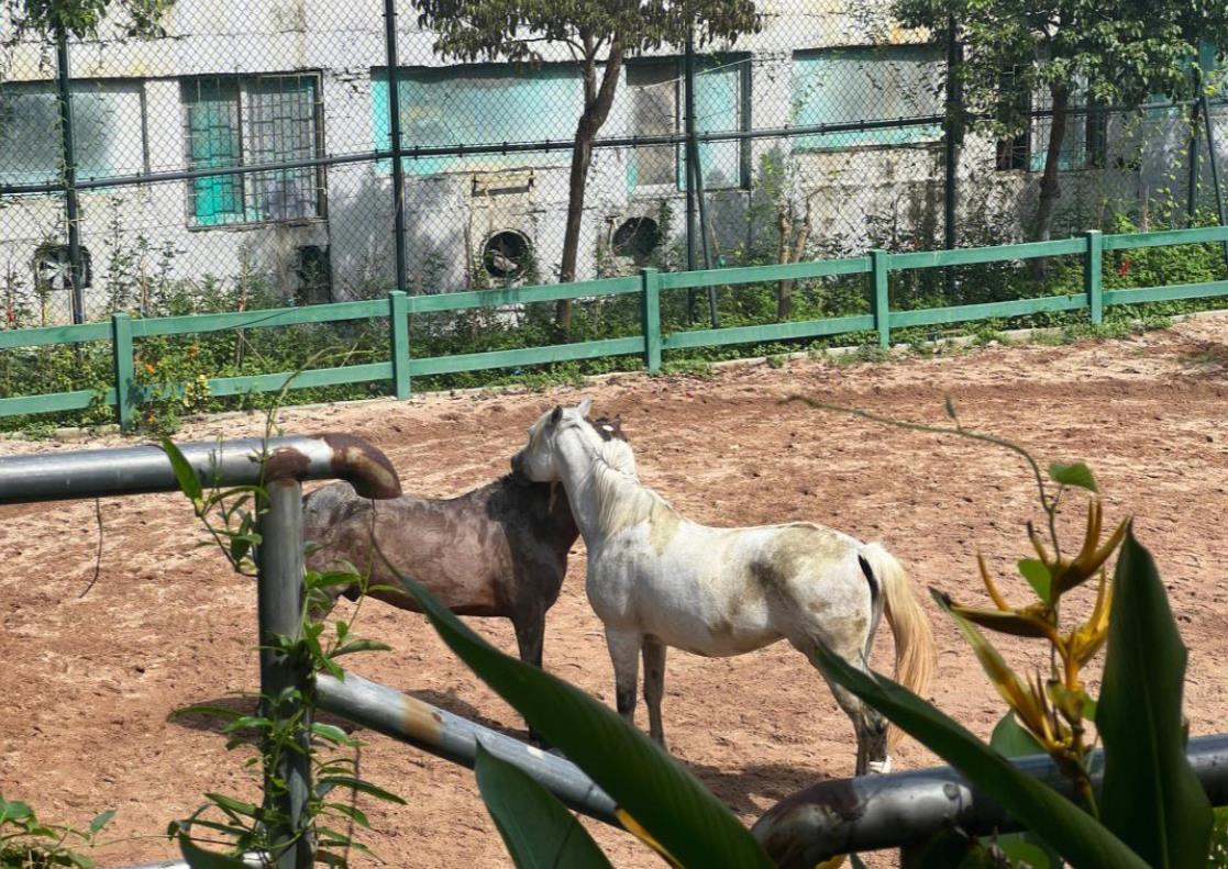 25平蛋糕店裝修只花3萬(wàn)塊